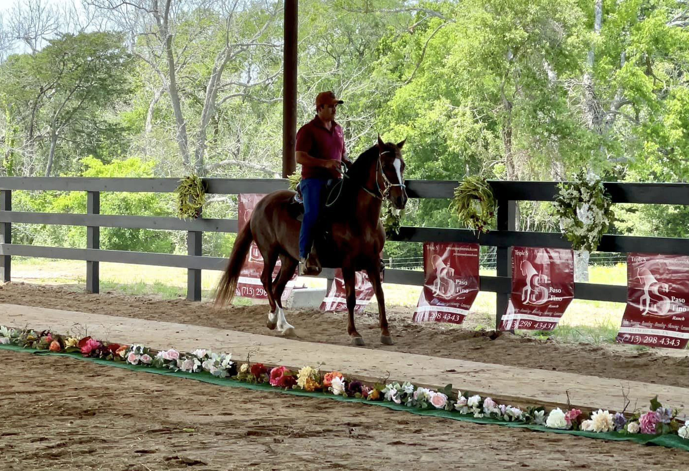 Paso fino clinic/open