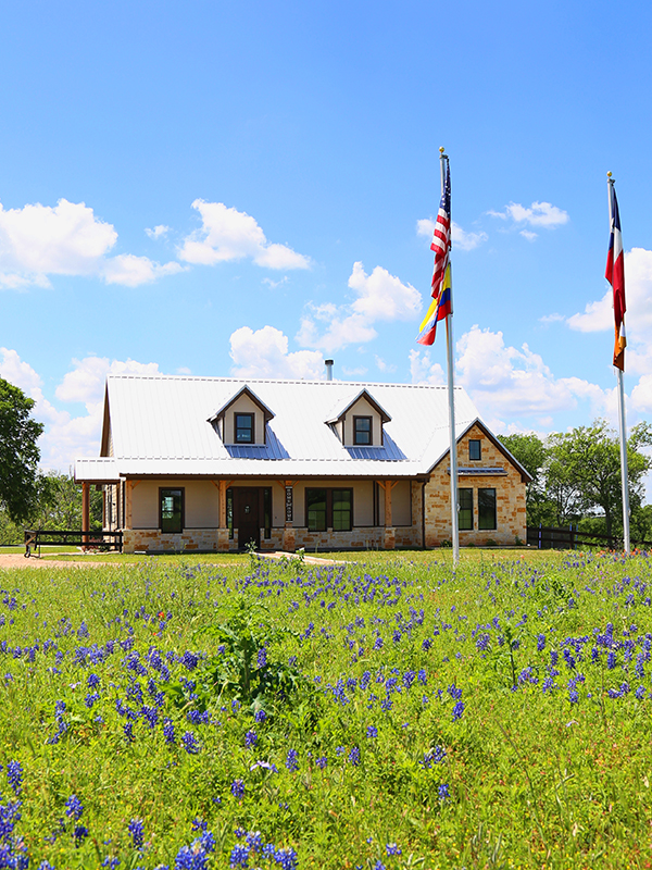 SSS Paso fino Ranch