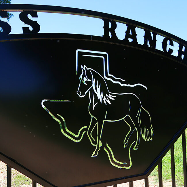 SSS Paso Fino Ranch Door